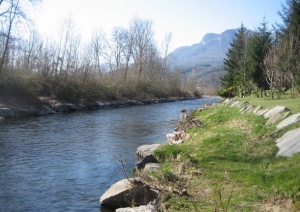 Escursione a &quot;passo lento&quot; al parco Margorabbia di Luino