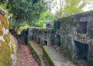 Venerdì 9 maggio 2025 - Passo lento - Alla scoperta delle fortificazioni della Linea Cadorna a Cassano Valcuvia