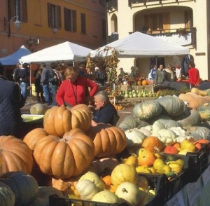 Escursione alla festa della zucca in Agra