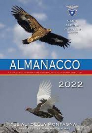 Agenda CAI 2022