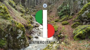 Programma escursioni del Sentiero Italia nell’Alto varesotto