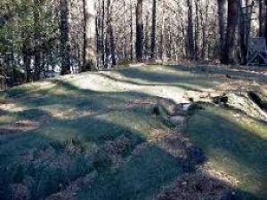 Conferenza - Le incisioni Rupestri e i Massi Coppellati