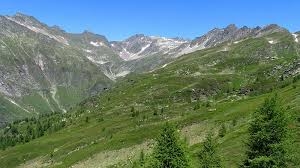 Domenica 19 ottobre 2025 -  Giornata ecologica in val Canaria e alpe Pontino