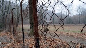 Venerdì 25 aprile 2025 - Escursione culturale -  Zona franca sul confine luinese