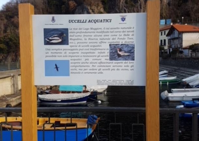 Inaugurato il percorso didattico “Gli uccelli acquatici” a Maccagno