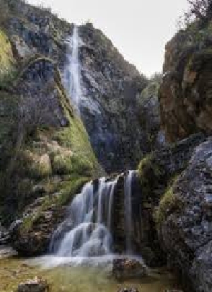 Venerdì 24 ottobre 2025 - Escursione a "passo lento - Cascata della Froda