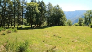 Venerdì 23 ottobre 2026 – Passo lento – Riproposta l'escursione all’Alpe Cangei o Alpe di Armio