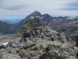 Escursione alla ricerca delle stelle alpine