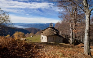 Escursione a passo lento rifugio Campiglio – Alpone