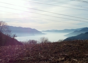 Sentiero 110C Variante Lago Delio - Musignano