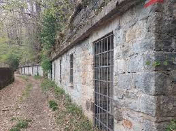 Venerdì 10 ottobre 2025 - Escursione a passo lento - Monte La Nave (989 mt) da Cugliate-Fabiasco