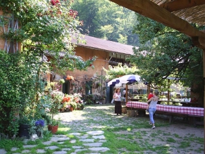 Escursione a &quot;passo lento - Due Cossani loc 5 vie – Roccolo