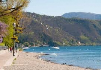 Escursione naturalistica - Gli uccelli acquatici sul Lago Maggiore
