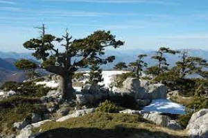 Trekking sui Monti di Apollo, tra il Tirreno, lo Jonio e la Magna Grecia nel Parco nazionale del Pollino