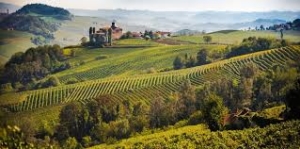 Passeggiata in Piemonte per la festa del tartufo, visita agli infernotti di Cella Monte e pranzo tipico piemontese