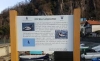 Venerdì 28 marzo 2025 - Passso lento – Passeggiata per osservare l’avifauna lacustre sul lungolago di Maccagno
