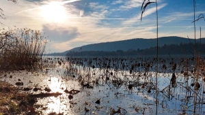 Camminata sulle sponde del Lago di Comabbio